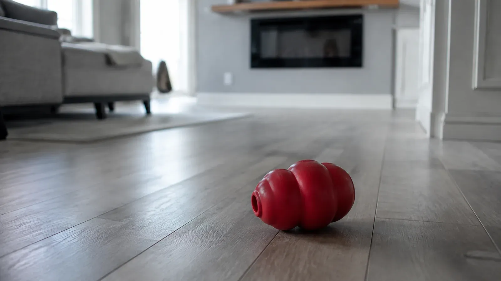 A full rubber food toy sitting untouched on the floor of an empty, quiet living room